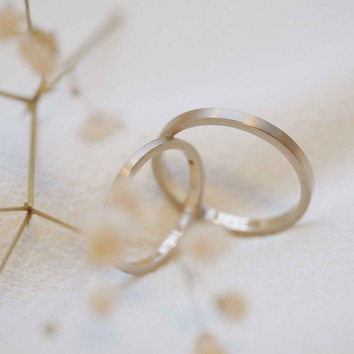 Par de alianças de ouro 18k na tonalidade champagne sobre pano branco