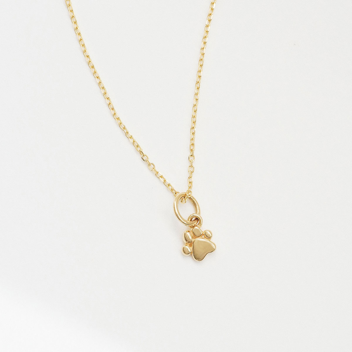 colar de patinha de cachorro em ouro 18k minimalista