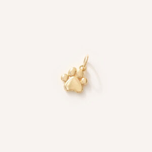pingente patinha de pet ouro 18k minimalista
