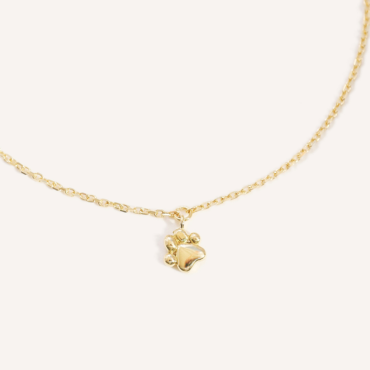 pulseira com patinha de cachorro em ouro 18k minimalista