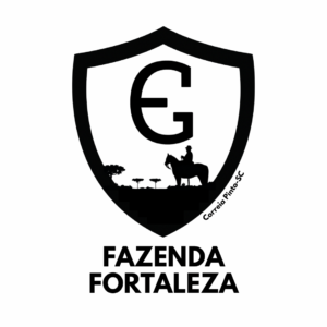 Pulseira xt - Imagem 3